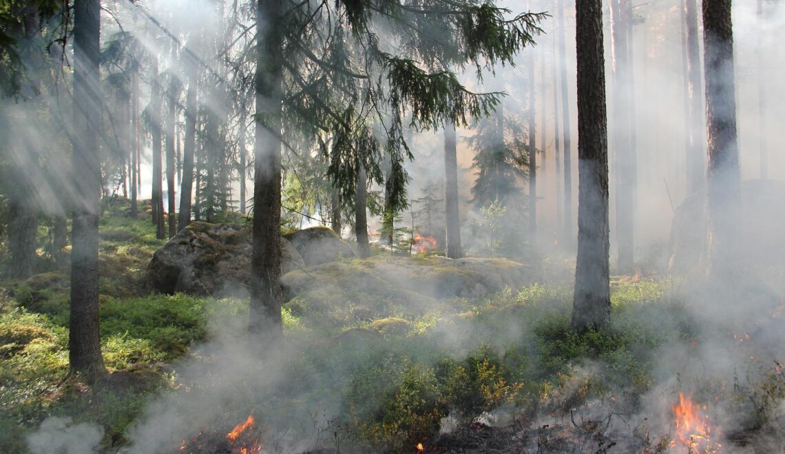 Metsäpalojen torjunta kohtaa uusia haasteita