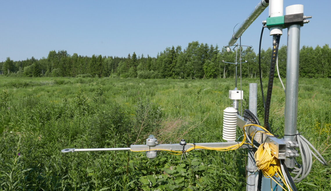 Carbon balance of an afforested wasteland: A case study to quantify emission offset units