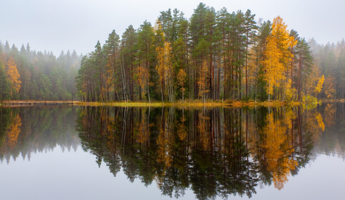 Ilmastokatsaus-digilehti lokakuu 2025