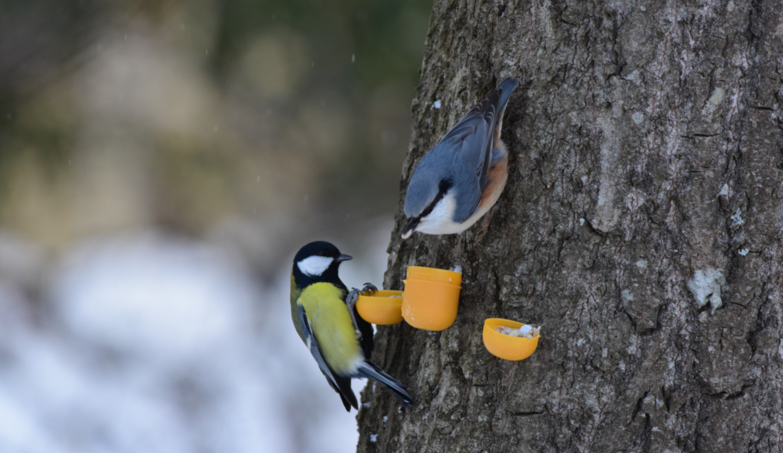 Marraskuun 2025 kuukausikatsaus