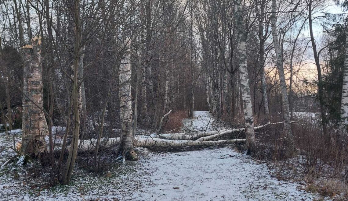 Hannes-myrsky puhkui voimalla