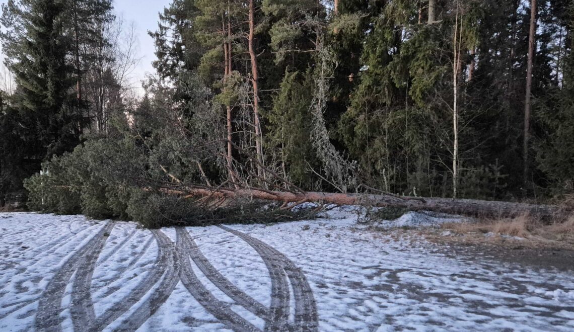 Ilmastokatsaus-digilehti joulukuu 2025