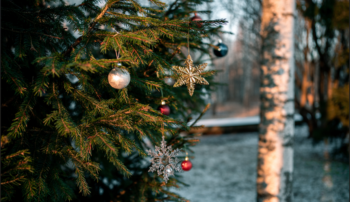 Joulukuun 2025 kuukausikatsaus