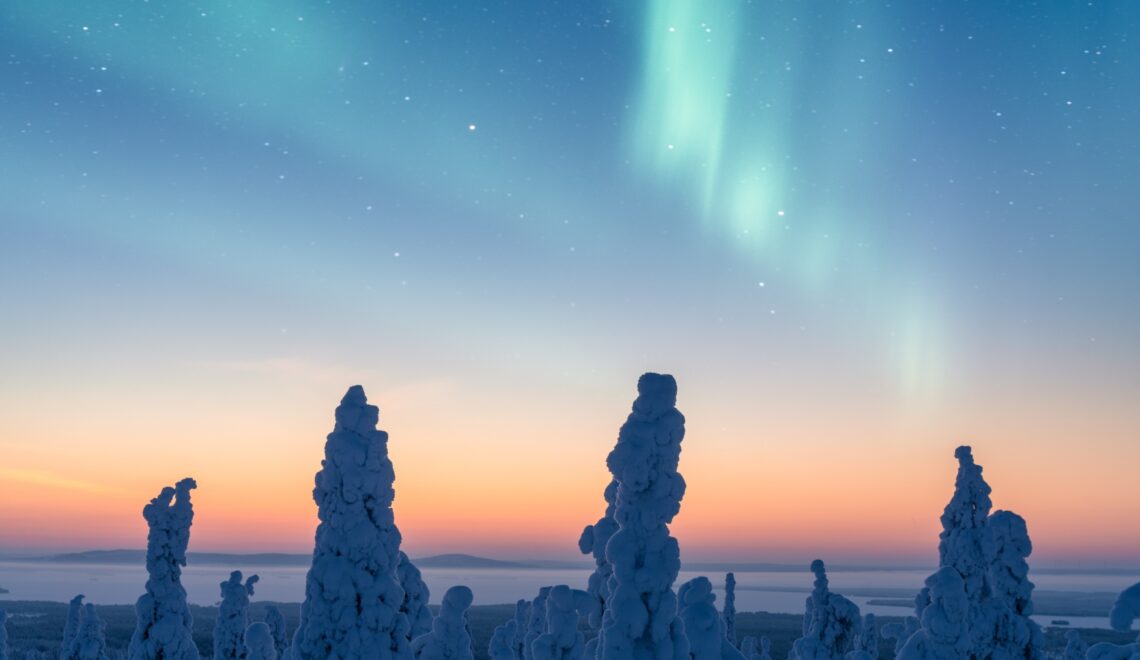 Tammikuun 2026 kuukausikatsaus