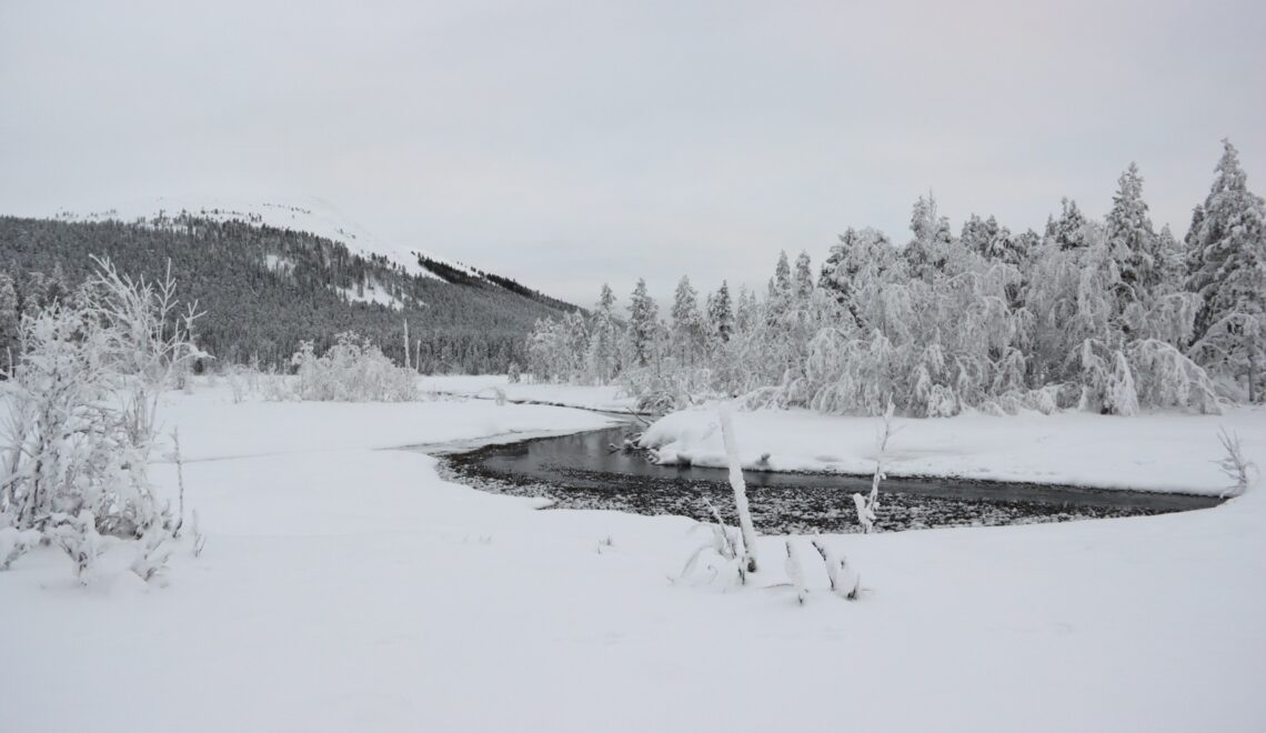 Kuinka harvinaisia tammikuun kovat pakkaset Lapissa olivat?
